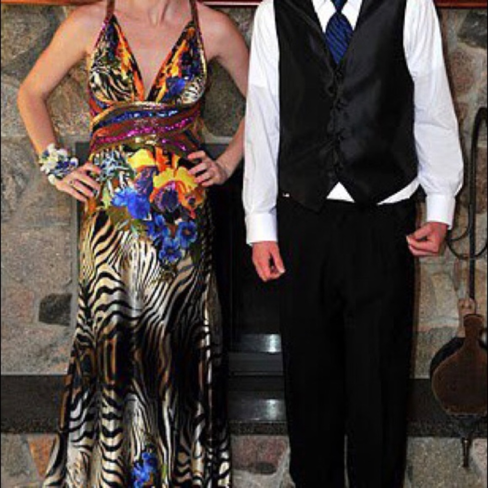 Cache Prom Dress - perfect condition! Size 4